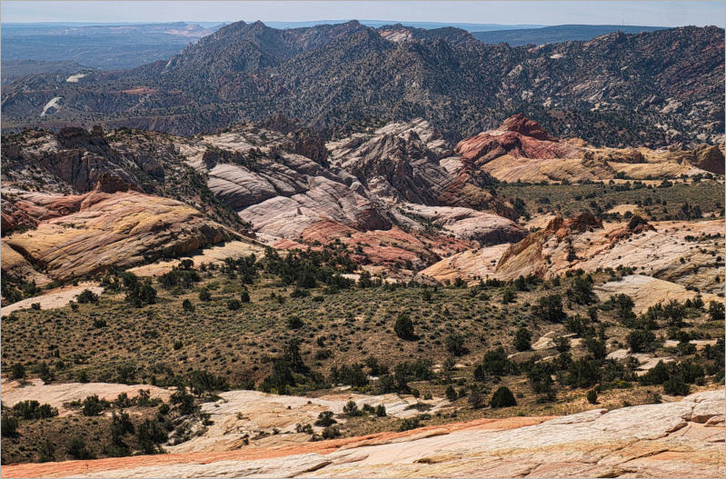 Yellow Rock an der Cottonwood Canyon Road, UT