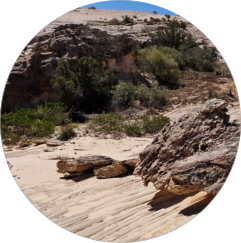 Yellow Rock an der Cottonwood Canyon Road, UT