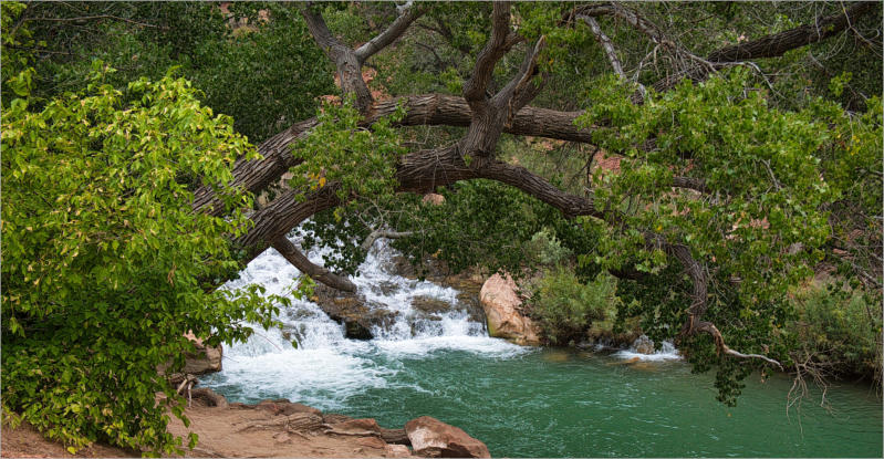 Zion NP - Pa'rus Trail, UT