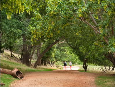 Zion NP - The Grotto Trail, UT