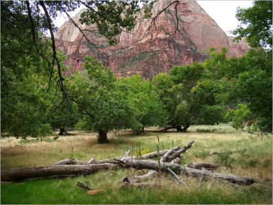 Zion NP - The Grotto Trail, UT