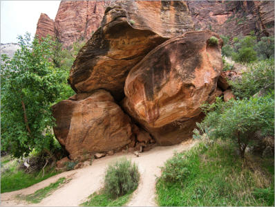 Zion NP - The Grotto Trail, UT