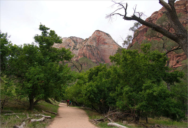 Zion NP - The Grotto Trail, UT