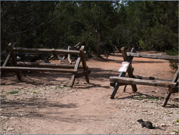 Zion National Park - Observaton Point Trail via East Mesa, UT