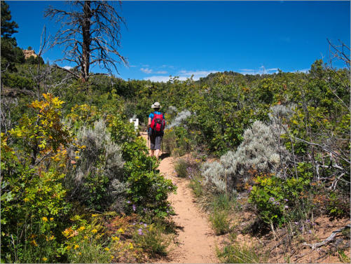 Zion National Park - Observaton Point Trail via East Mesa, UT