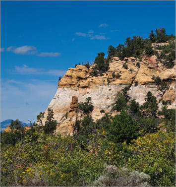 Zion National Park - Observaton Point Trail via East Mesa, UT