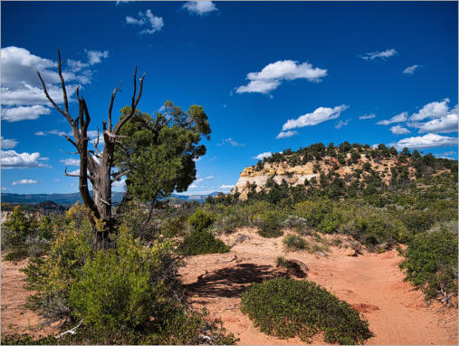 Zion National Park - Observaton Point Trail via East Mesa, UT