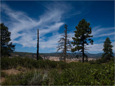 Zion National Park - Observaton Point Trail via East Mesa, UT