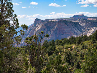 Zion National Park - Observaton Point Trail via East Mesa, UT