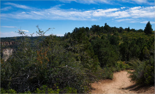 Zion National Park - Observaton Point Trail via East Mesa, UT
