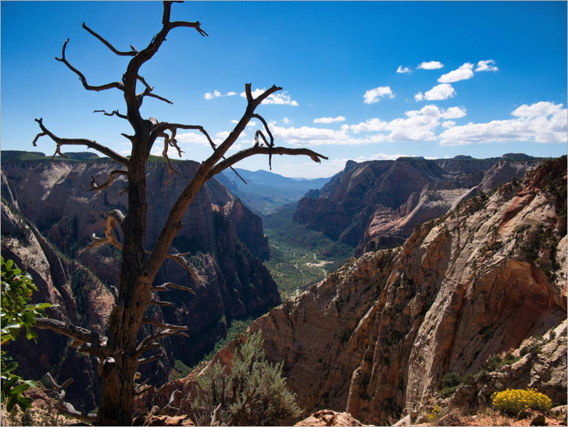 Zion National Park - Observaton Point Trail via East Mesa, UT