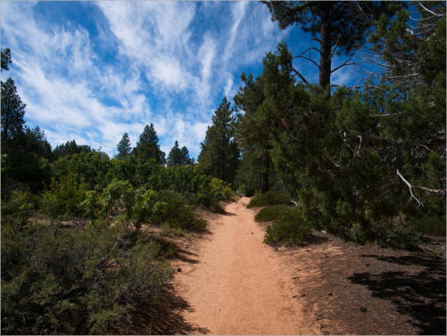 Zion National Park - Observaton Point Trail via East Mesa, UT