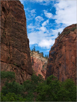 Zion National Park - Rivrside Walk, UT