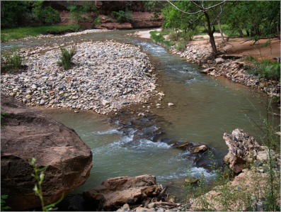 Zion National Park - Rivrside Walk, UT