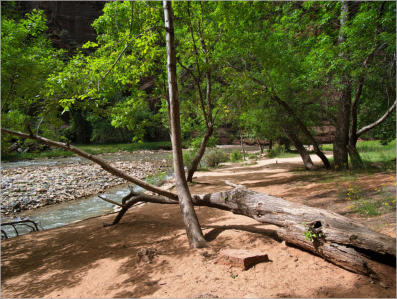 Zion National Park - Rivrside Walk, UT