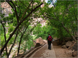Zion National Park - Rivrside Walk, UT