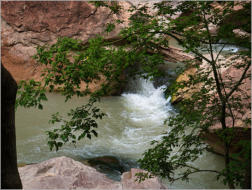 Zion National Park - Rivrside Walk, UT