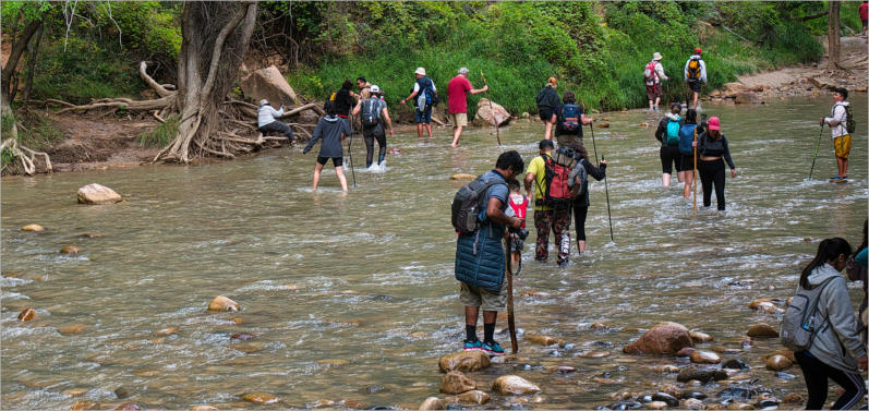 Zion National Park - Rivrside Walk, UT