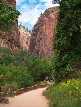 Zion National Park - Rivrside Walk, UT