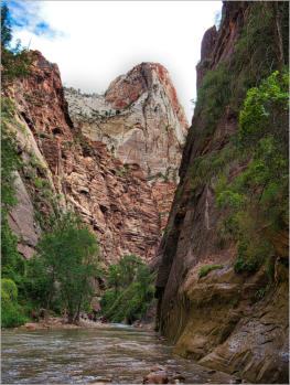 Zion National Park - Rivrside Walk, UT