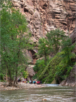 Zion National Park - Rivrside Walk, UT