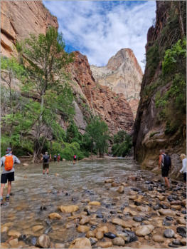 Zion National Park - Rivrside Walk, UT
