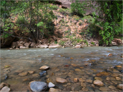 Zion National Park - Rivrside Walk, UT