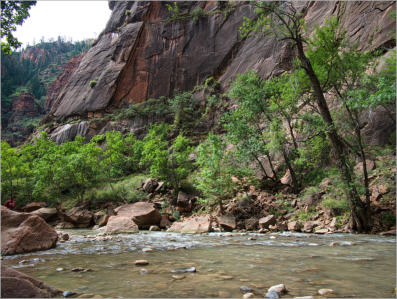 Zion National Park - Rivrside Walk, UT