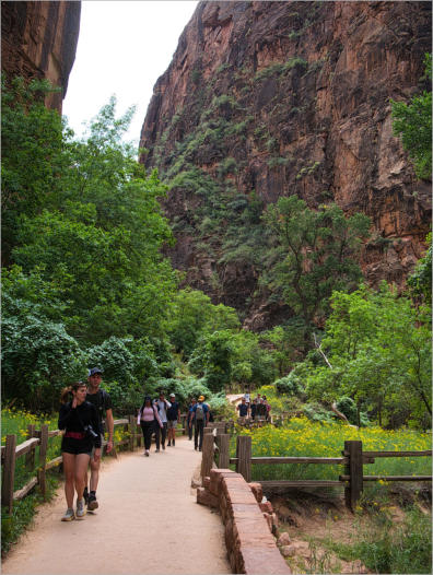 Zion National Park - Rivrside Walk, UT