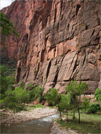 Zion National Park - Rivrside Walk, UT
