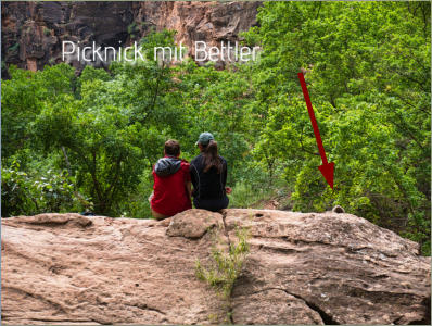 Zion National Park - Rivrside Walk, UT