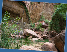 Zion National Park - Rivrside Walk, UT