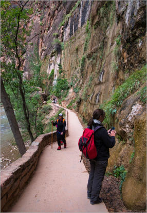 Zion National Park - Rivrside Walk, UT