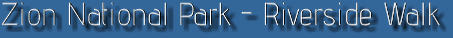 Zion National Park - Rivrside Walk, UT