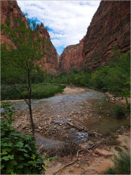 Zion National Park - Rivrside Walk, UT