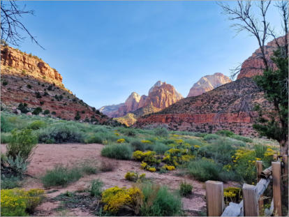 Zion National Park - Utah