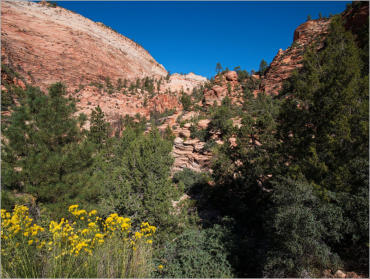 Zion National Park - Utah