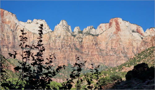 Zion National Park - Utah